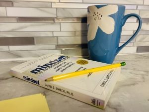 10 Real Life Fixed Mindset Vs Growth Mindset Examples