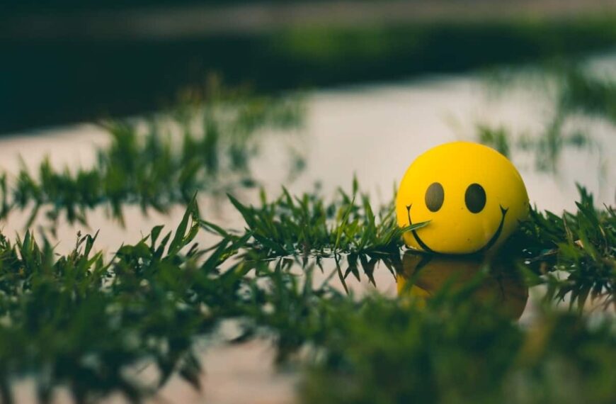 4 Types of Mindsets To Help You Conquer Any Challenge