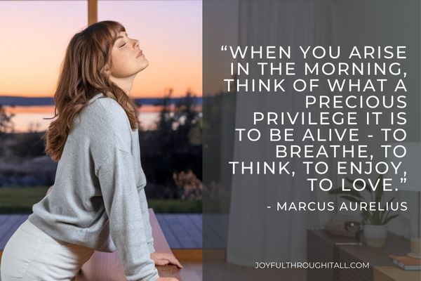 “When you arise in the morning, think of what a precious privilege it is to be alive - to breathe, to think, to enjoy, to love.” - Marcus Aurelius
