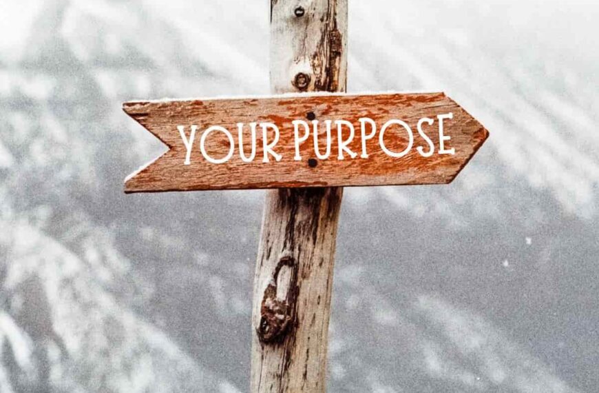 sign post reading 'your purpose'