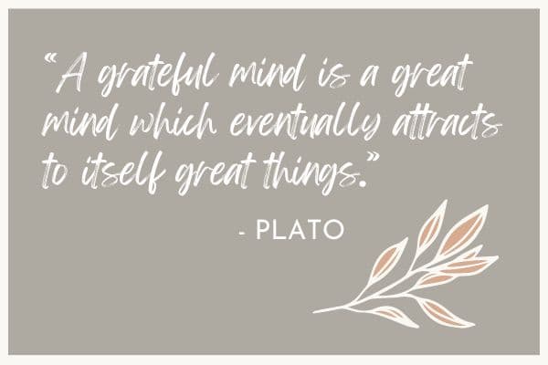 A grateful mind is a great mind which eventually attracts to itself great things