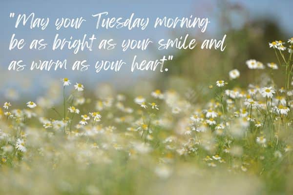 May your Tuesday morning be as bright as your smile and as warm as your heart