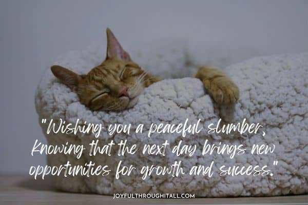 Wishing you a peaceful slumber, knowing that the next day brings new opportunities for growth and success