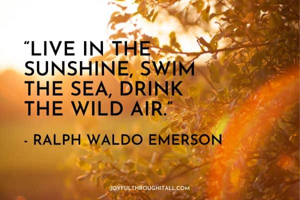 “Live in the sunshine, swim the sea, drink the wild air.” - Ralph Waldo Emerson