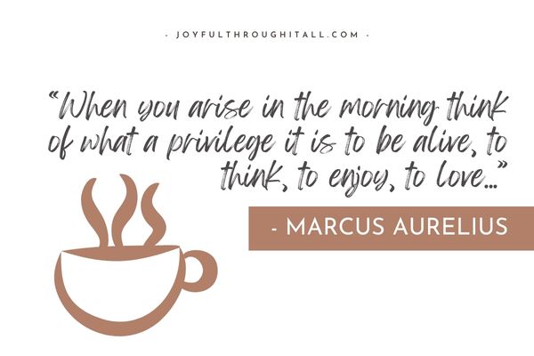 “When you arise in the morning think of what a privilege it is to be alive, to think, to enjoy, to love…” - Marcus Aurelius