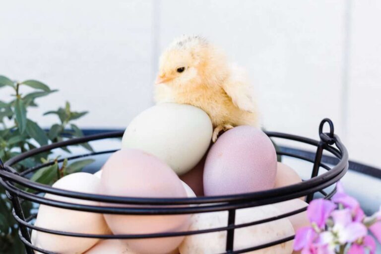 75 Best March Inspirational Quotes to Welcome Spring