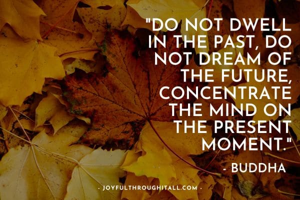 Do not dwell in the past, do not dream of the future, concentrate the mind on the present moment. - Buddah