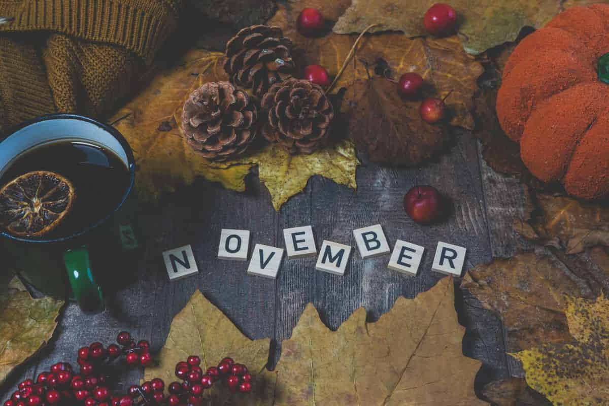 the word november with various fall symbols