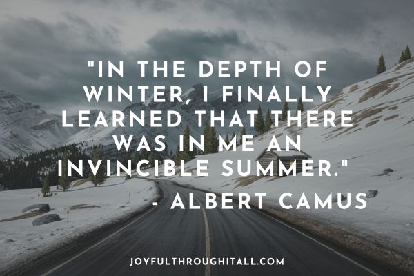 In the depth of winter, I finally learned that there was in me an invincible summer. - Albert Camus